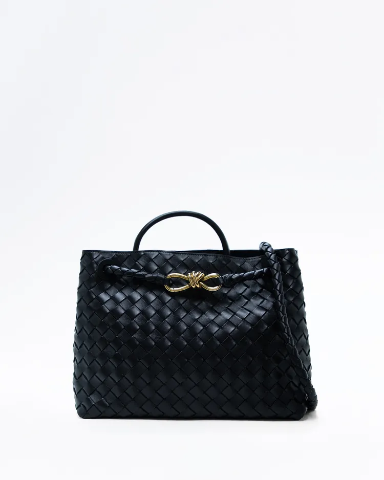 Medium Andiamo Top Handle Bag