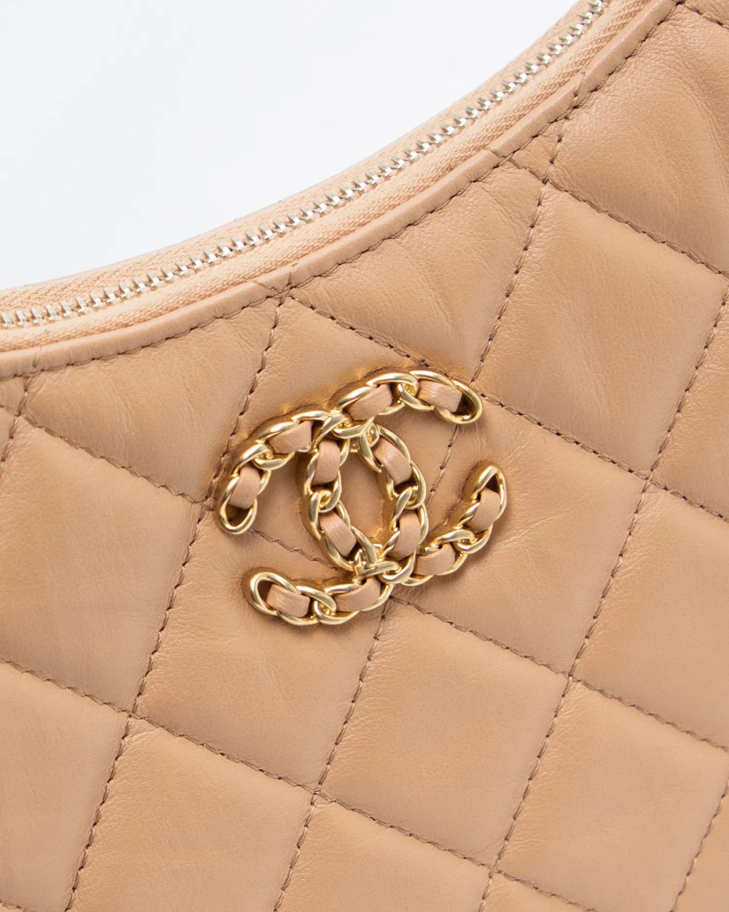 Lambskin Chanel 19 Small Hobo Bag