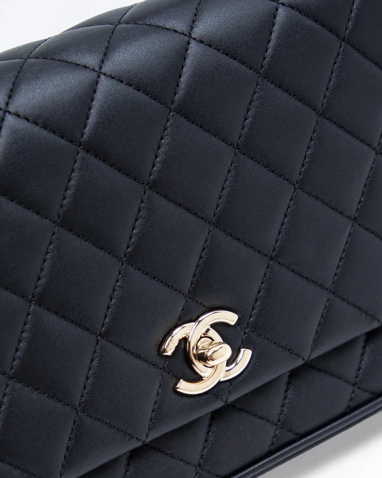 Quilted Citizen Chic Small Flap Bag