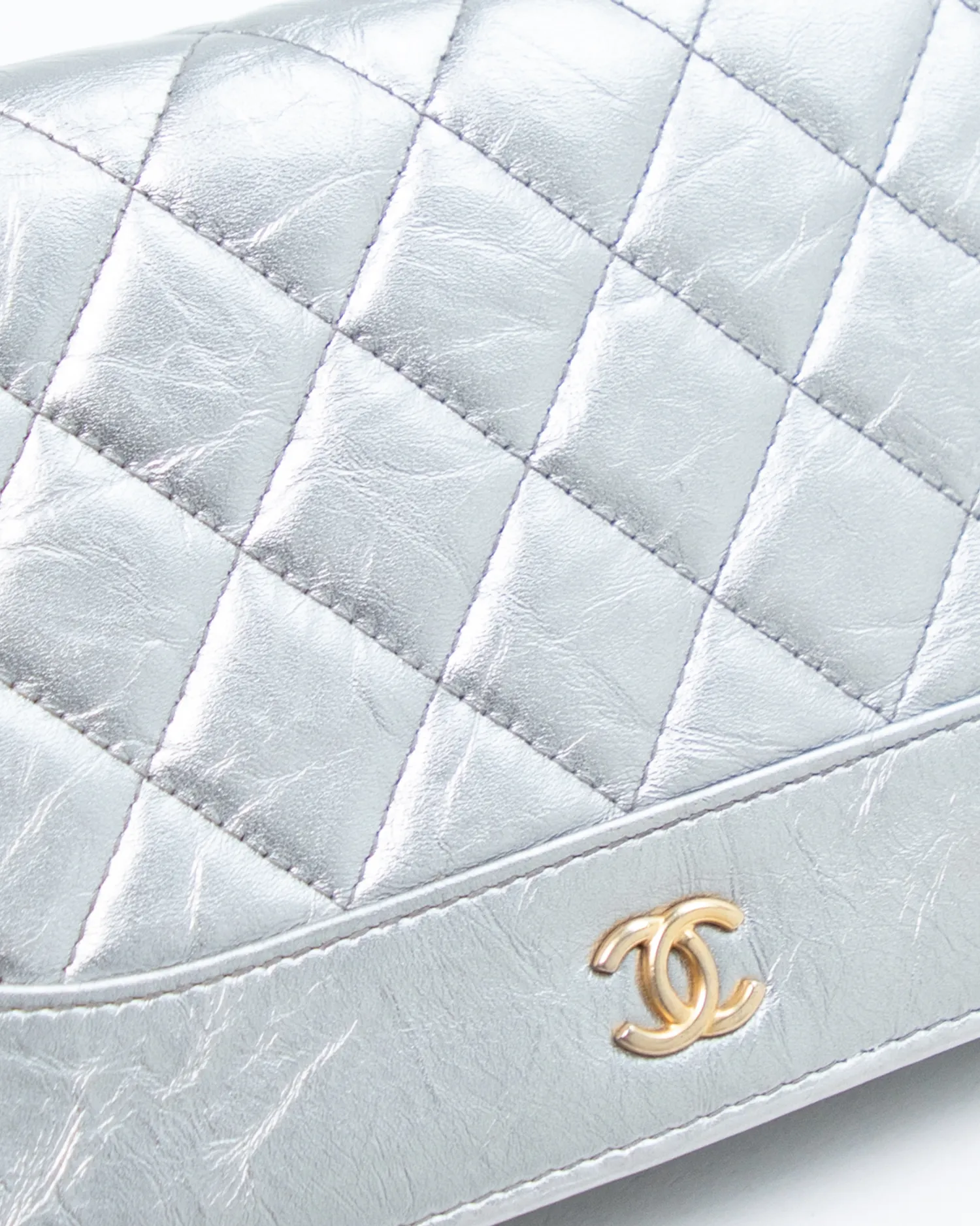 Metallic Gabrielle Wallet on a Chain