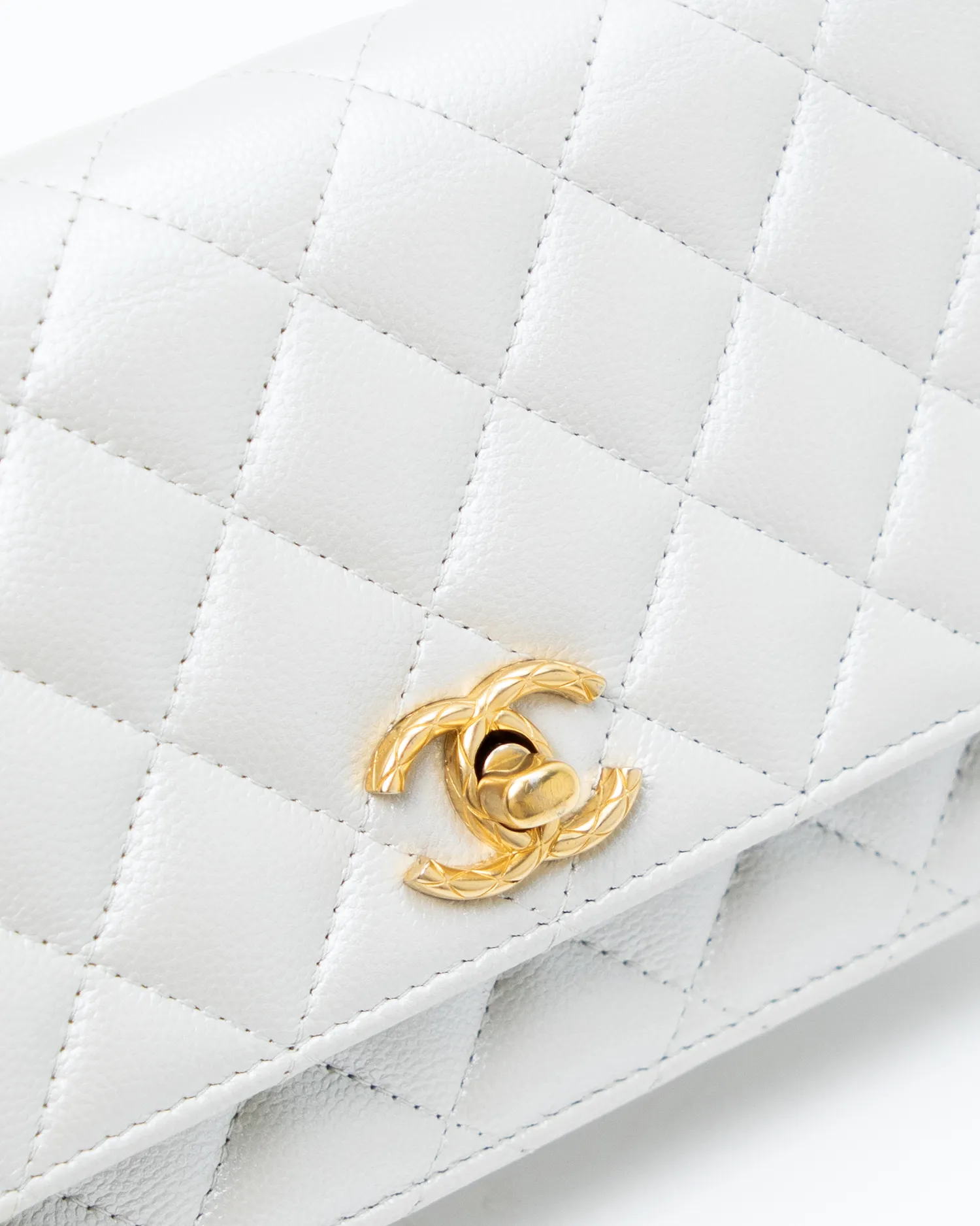 Shimmer Caviar CC Jewel Wallet on a Chain