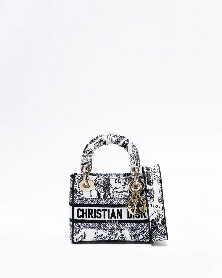 Plan de Paris Mini Lady D-Lite Bag