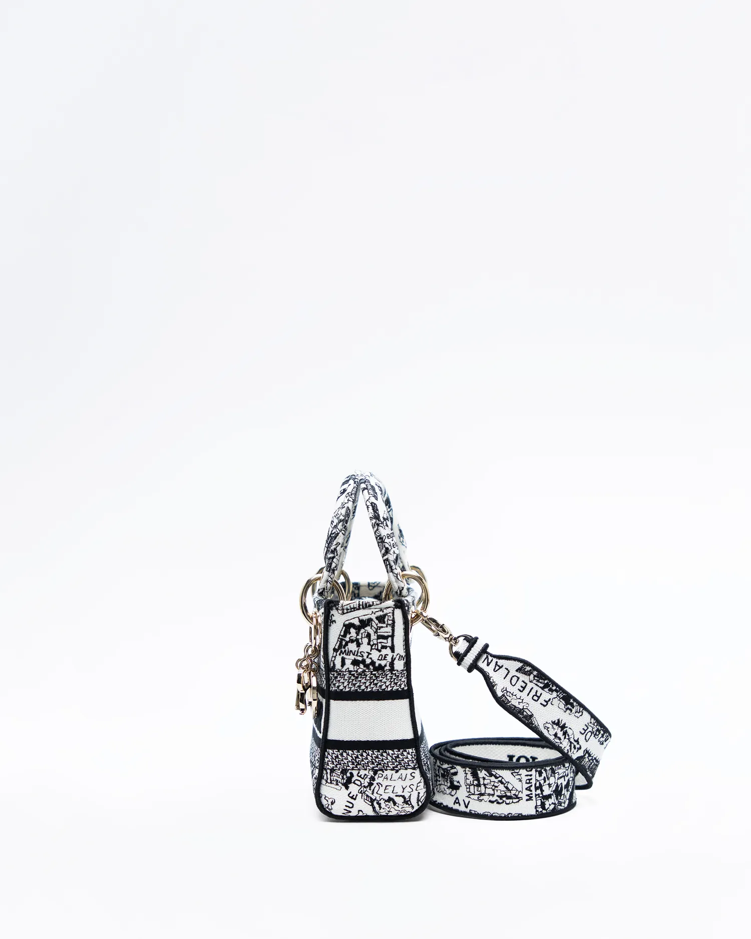 Plan de Paris Mini Lady D-Lite Bag
