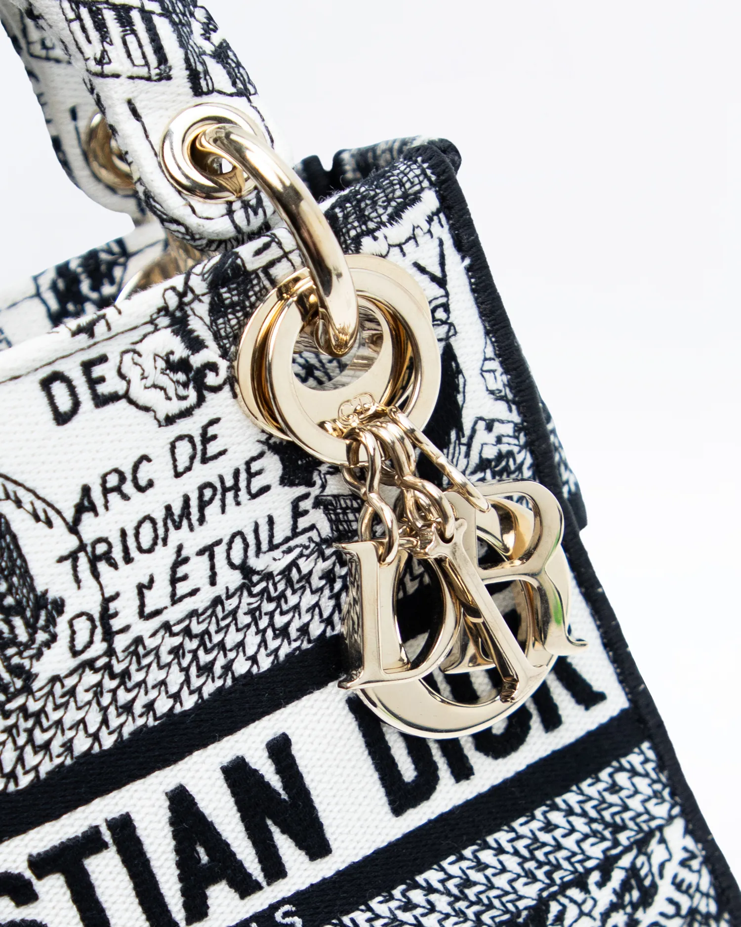 Plan de Paris Mini Lady D-Lite Bag