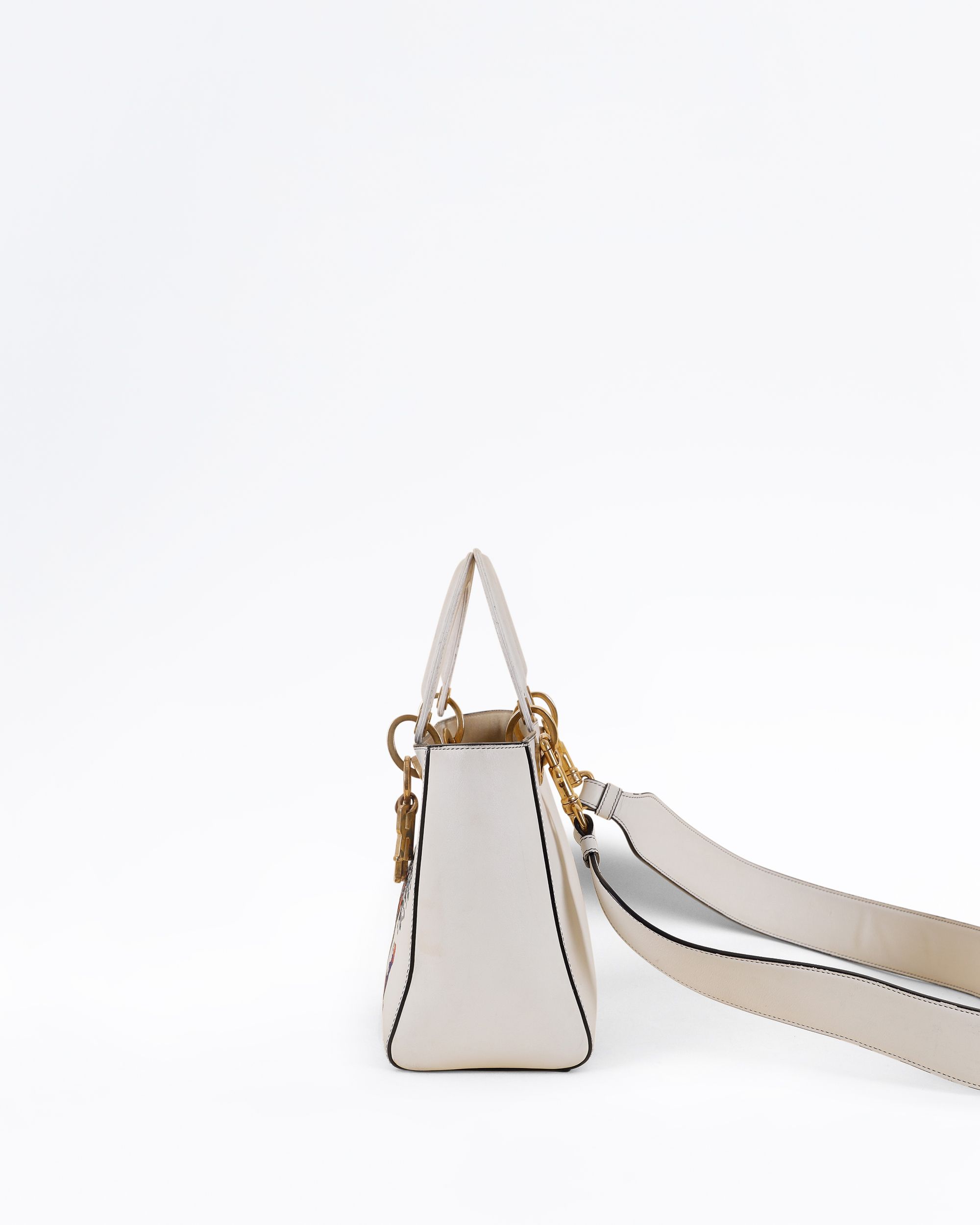 Christian Dior Niki de Saint Phalle Medium Lady Dior Bag | Vivrelle