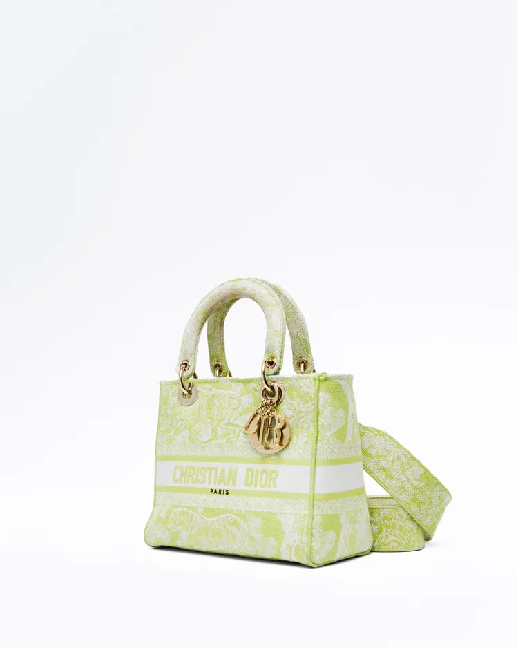 Alternate view angle of Toile de Jouy Medium Lady D-Lite Bag