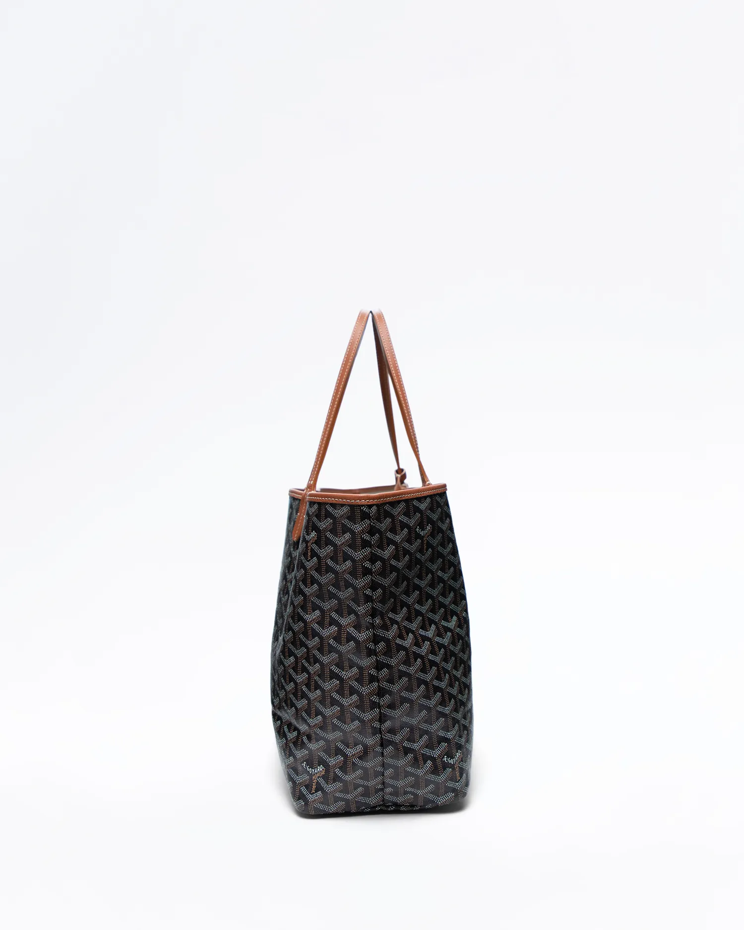 Printed Saint Louis PM Bag