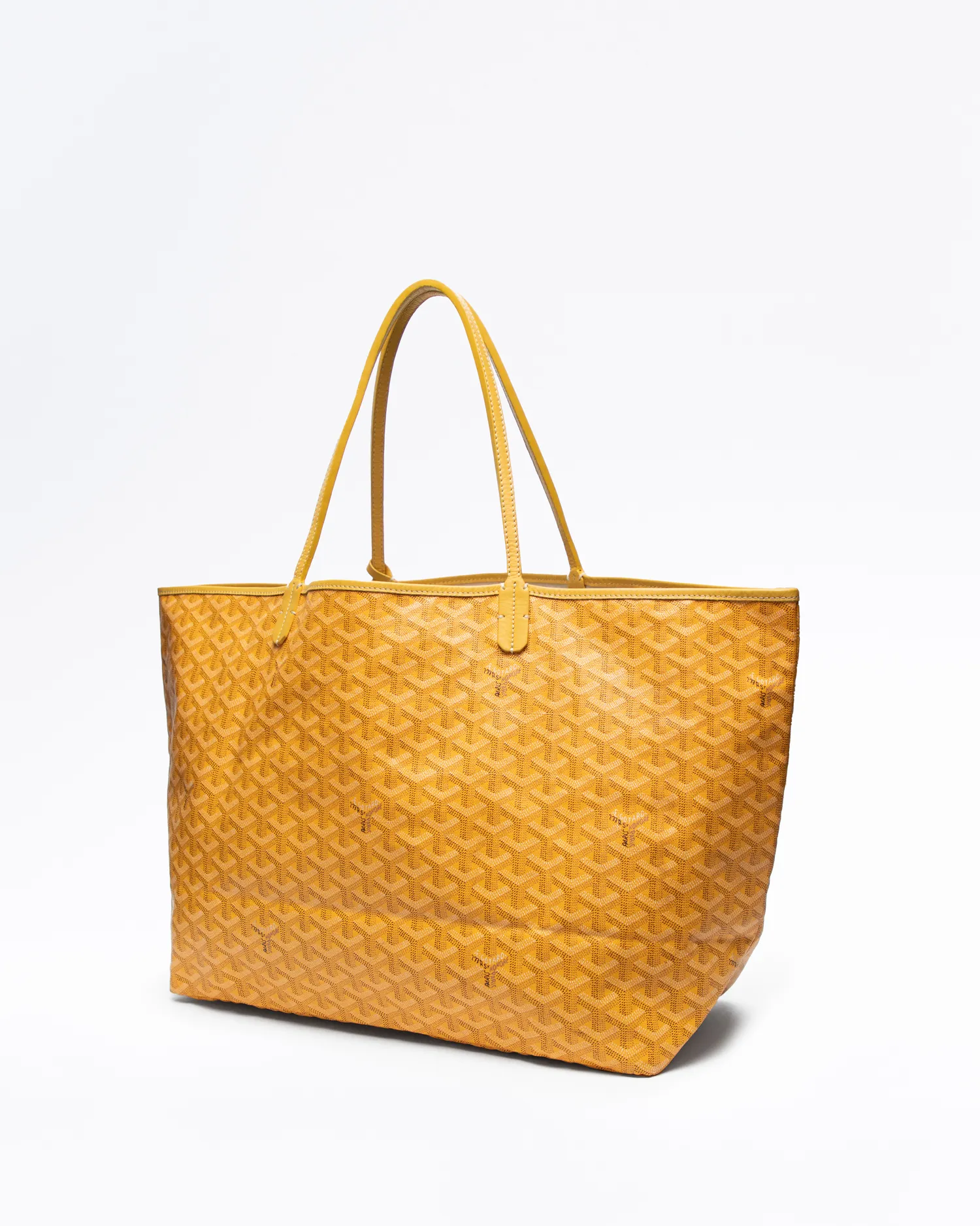 Printed Saint Louis GM Bag