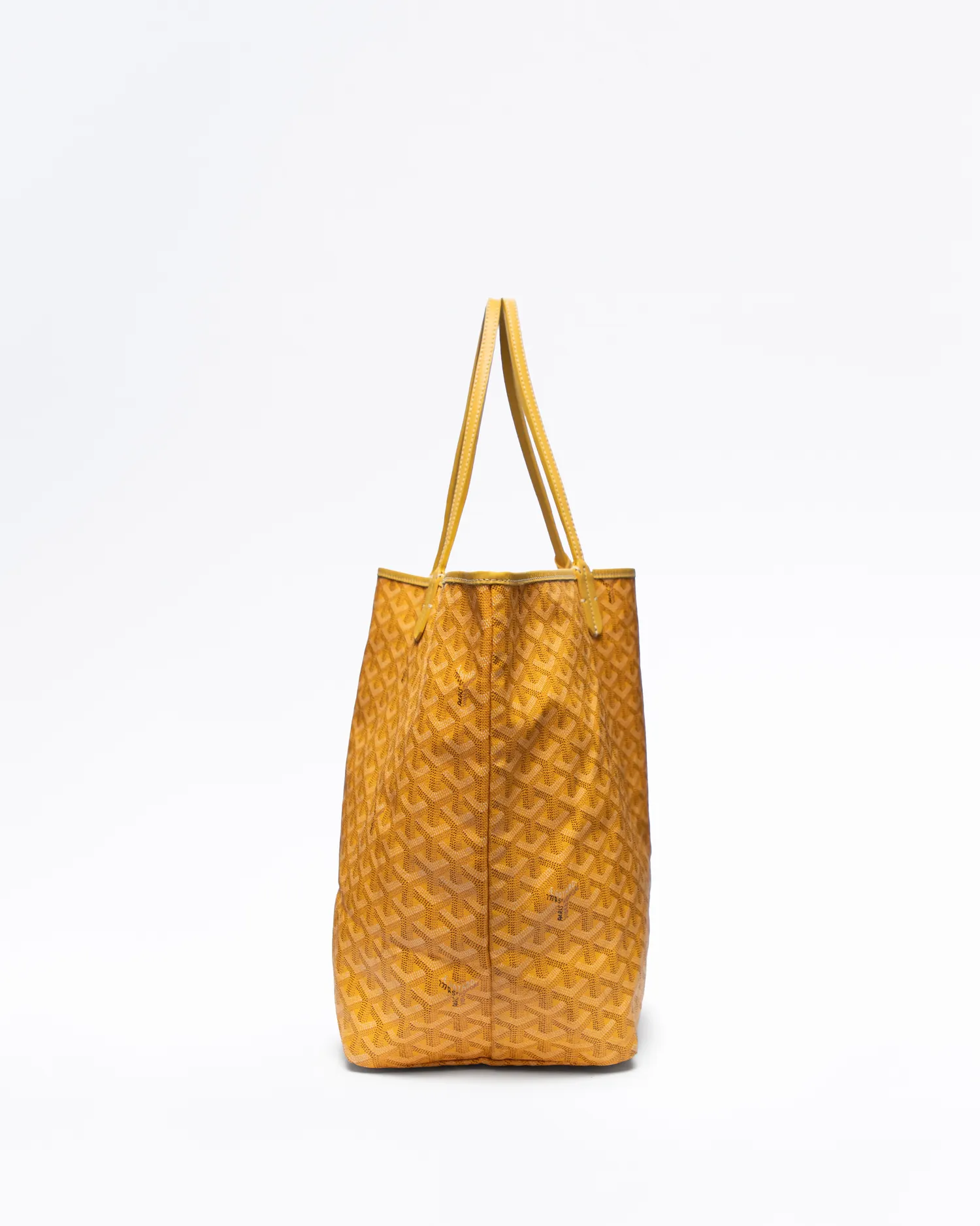 Printed Saint Louis GM Bag