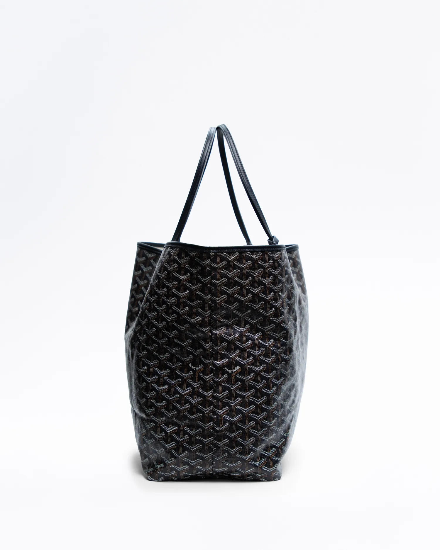 Printed Saint Louis GM Bag