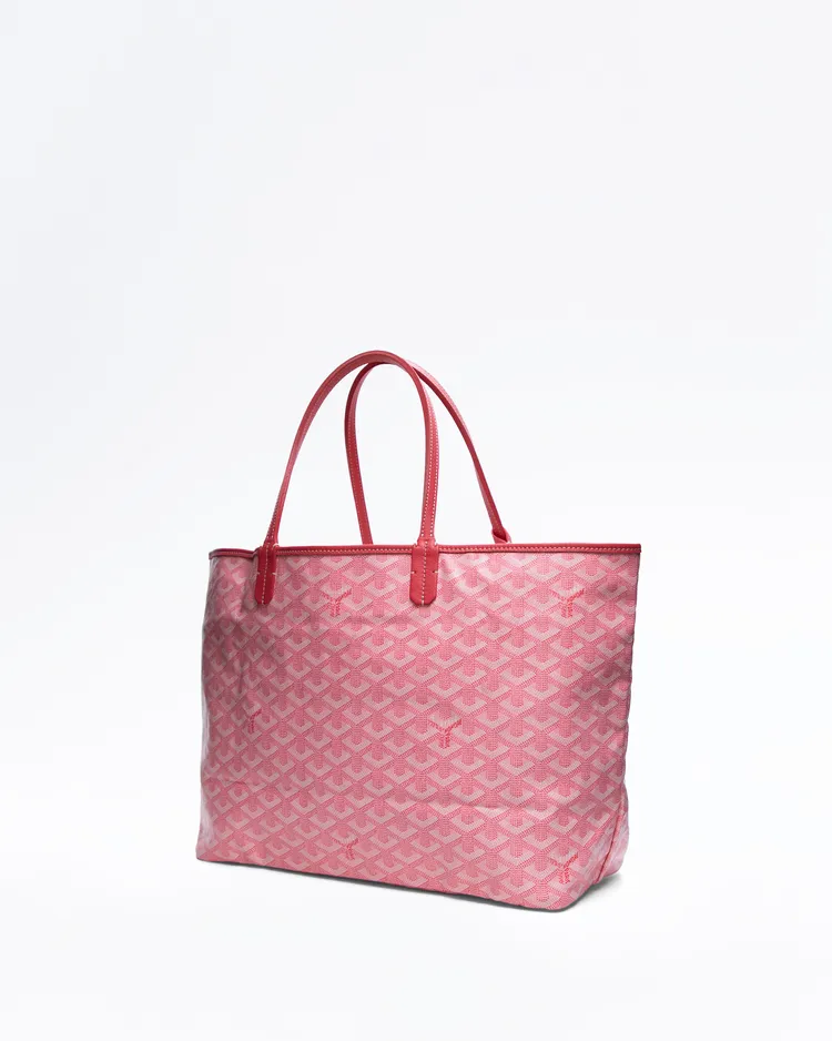Alternate view angle of Saint Louis PM Bag