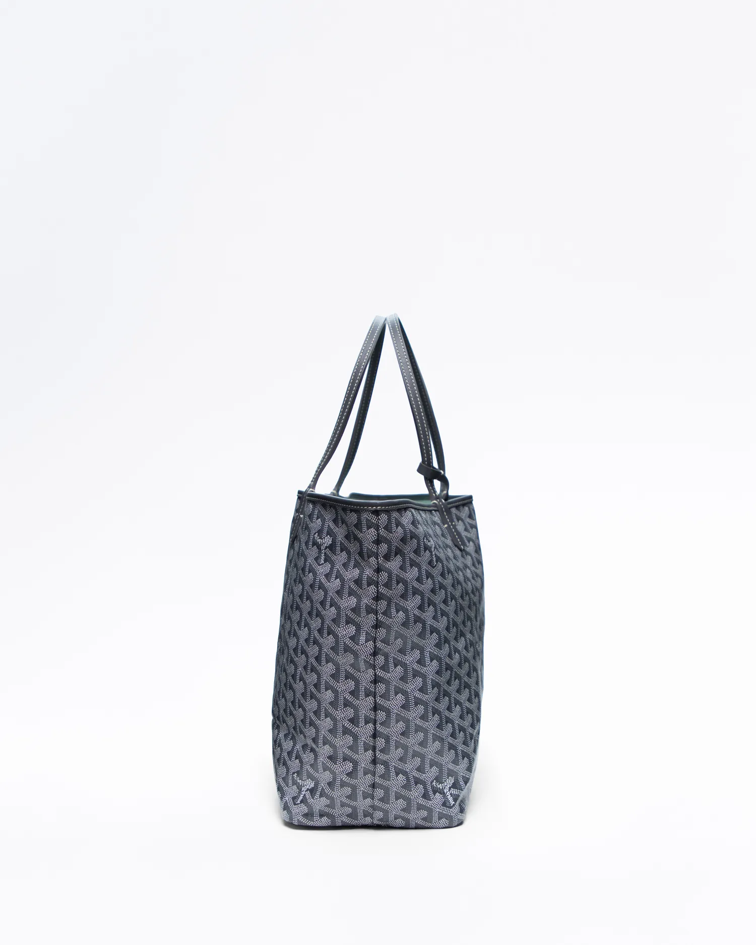 Printed Saint Louis PM Bag
