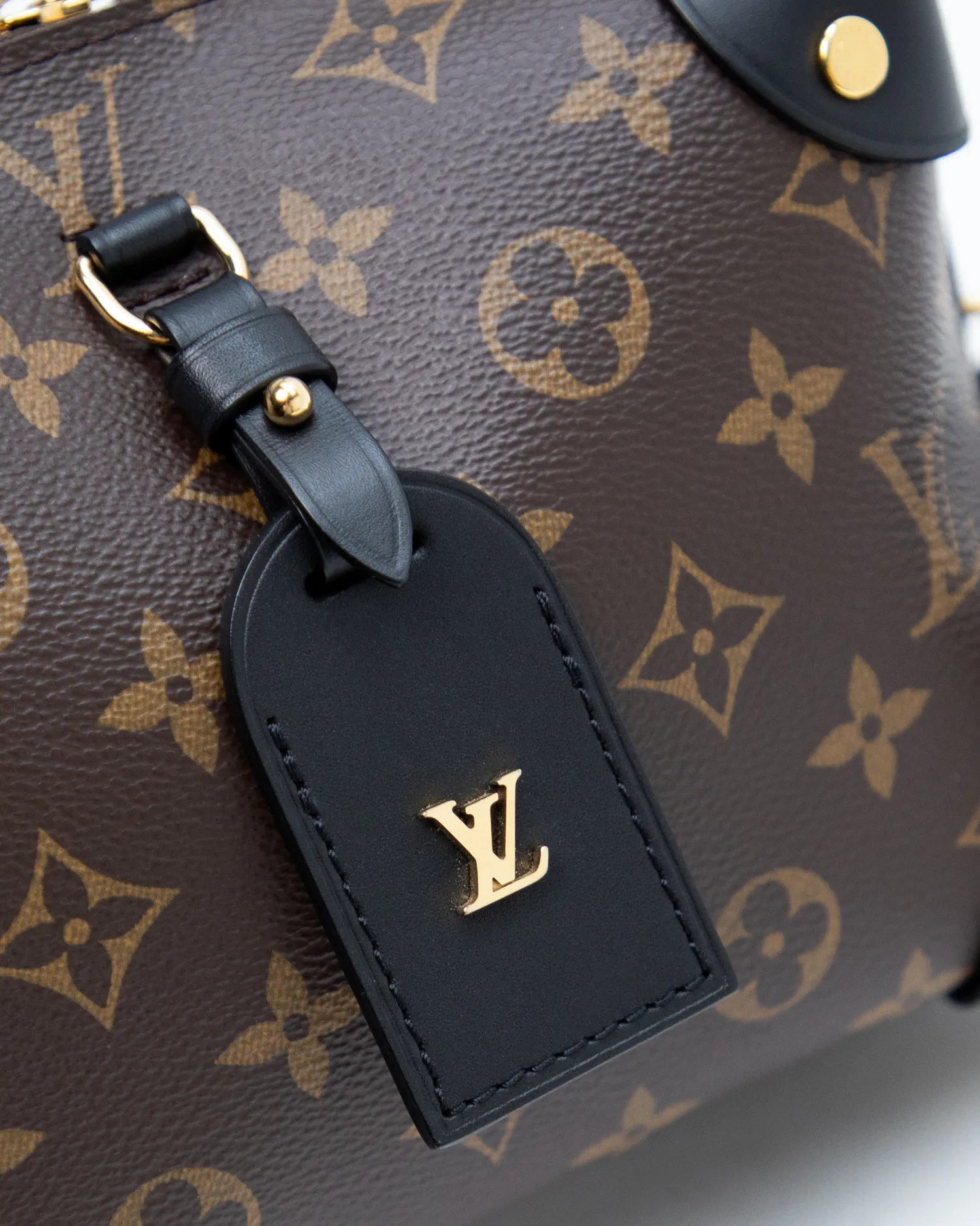 Monogram Petite Malle Souple
