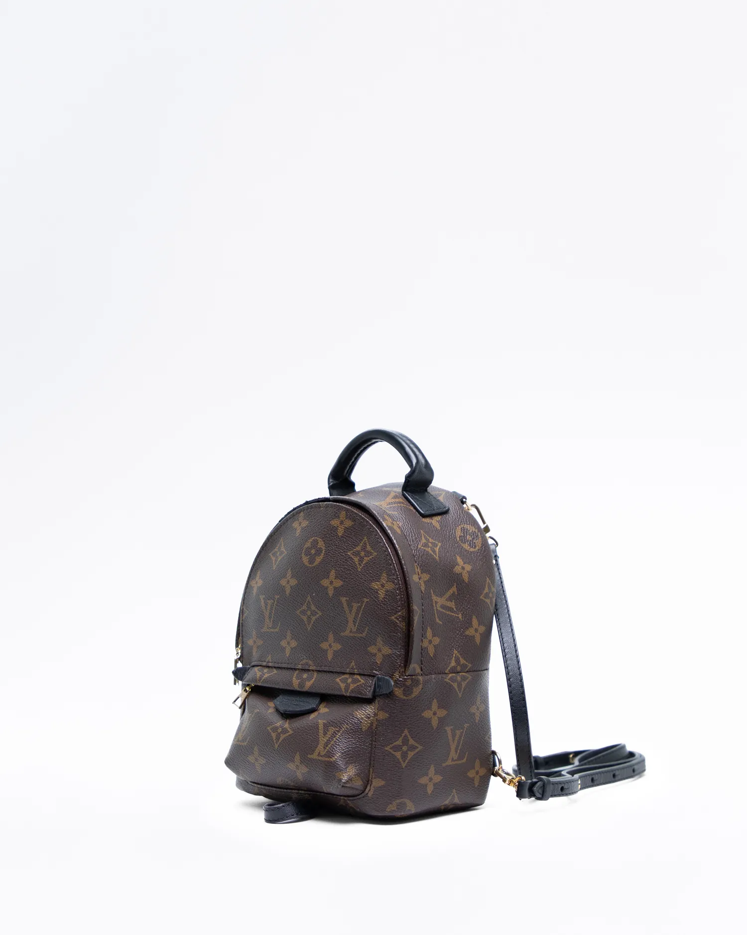 Monogram Palm Springs Mini Backpack