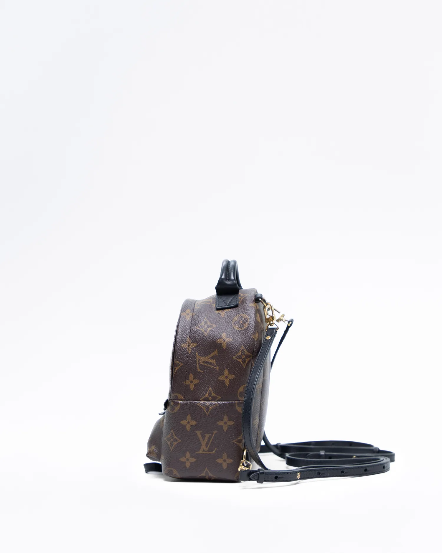 Monogram Palm Springs Mini Backpack