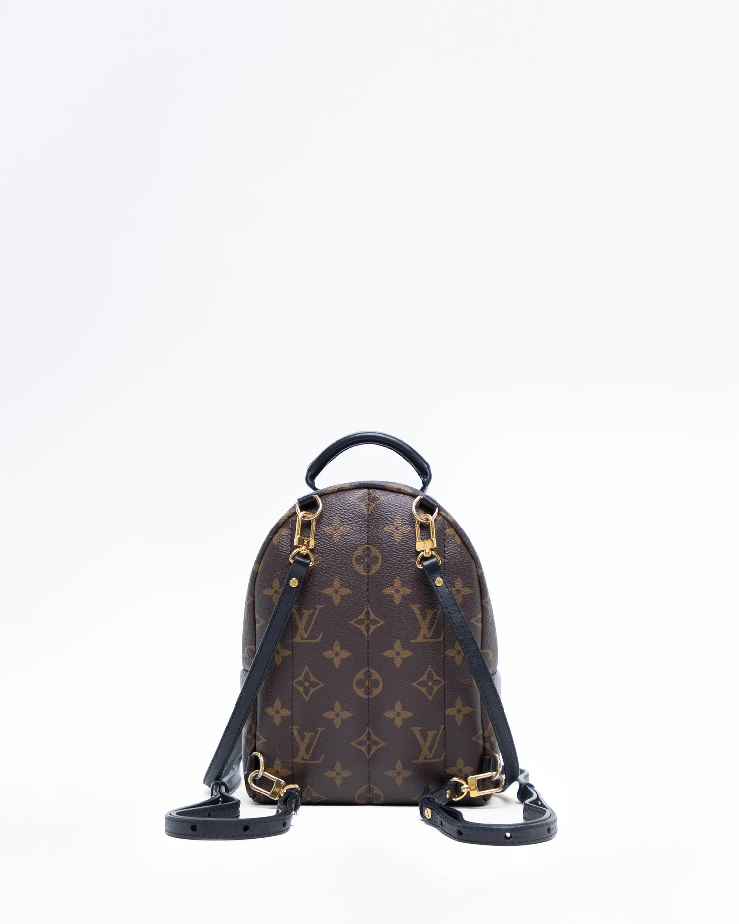 Monogram Palm Springs Mini Backpack