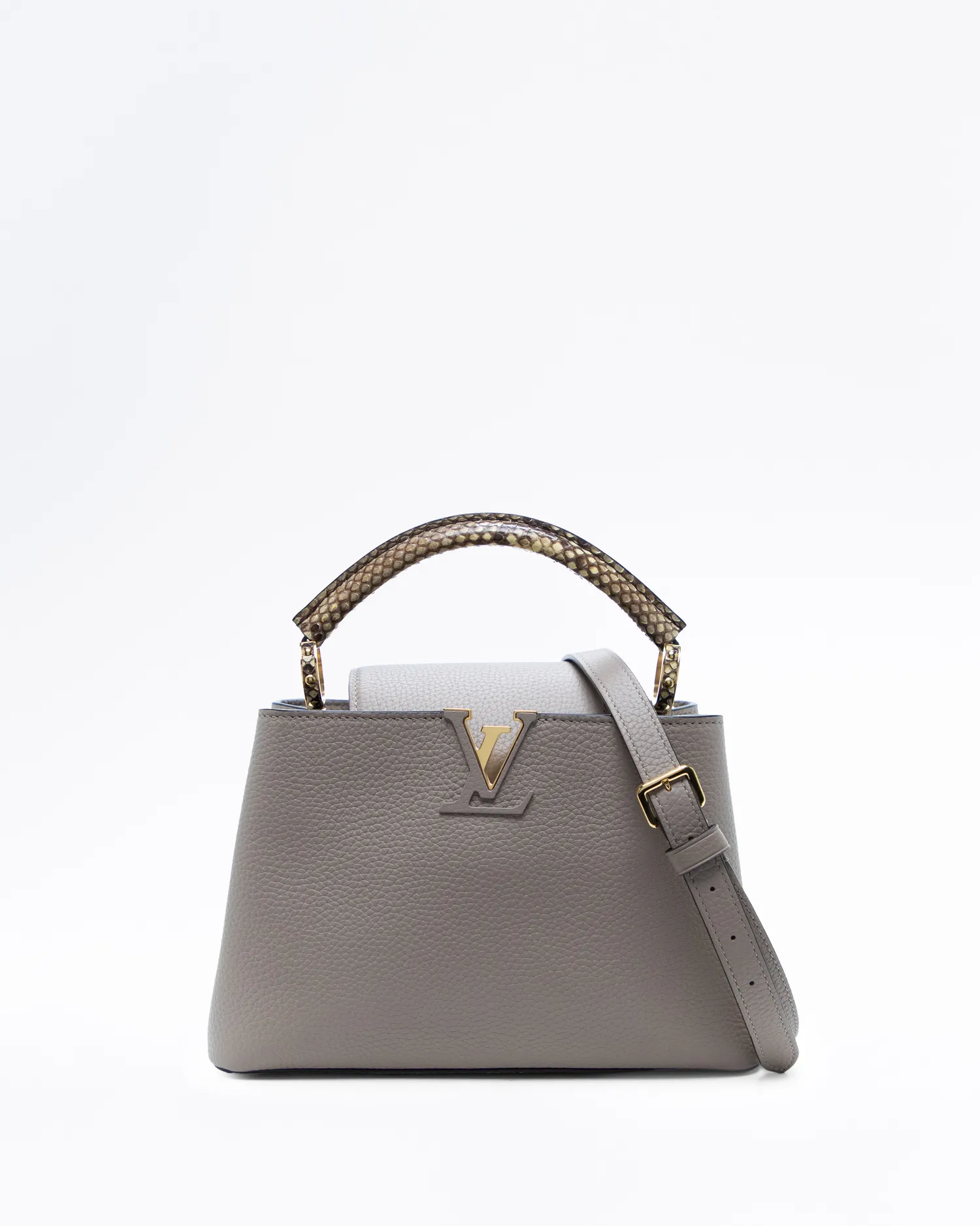 Python Capucines BB