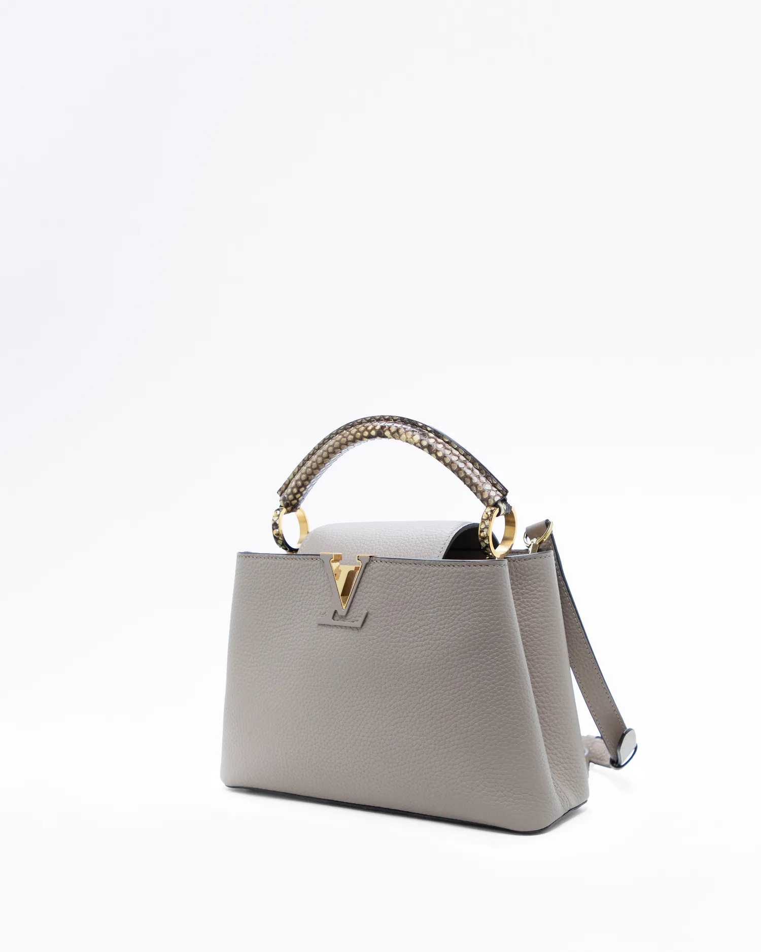 Python Capucines BB