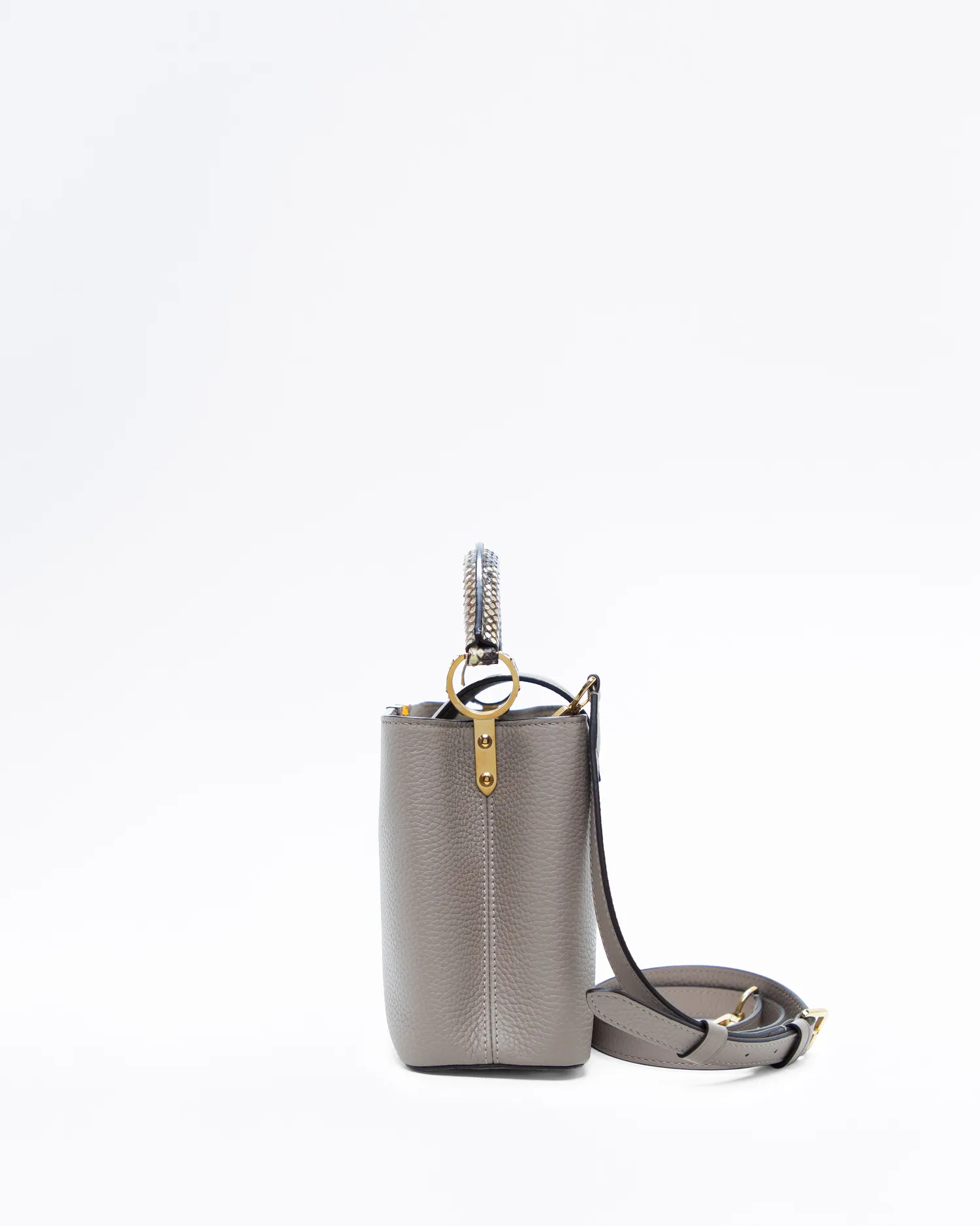 Python Capucines BB