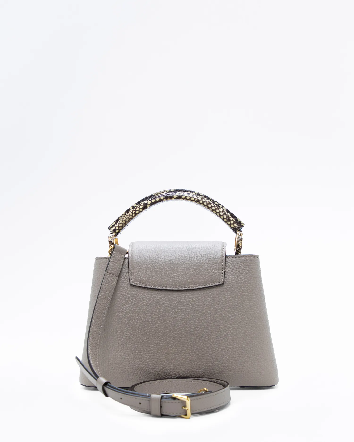 Python Capucines BB