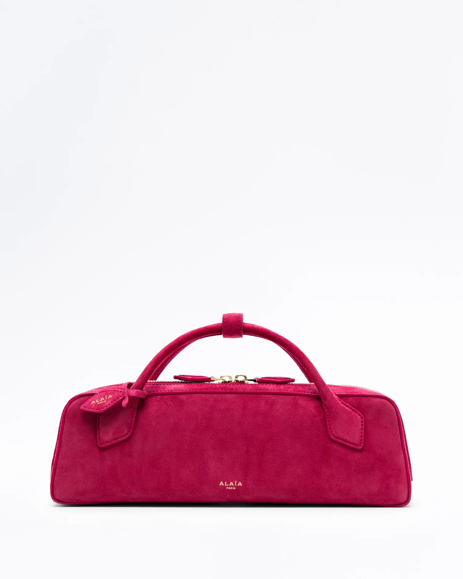 Suede Le Teckel Clutch Bag